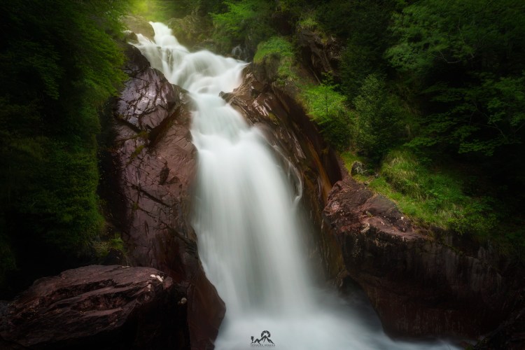 Fotografia en Pineta