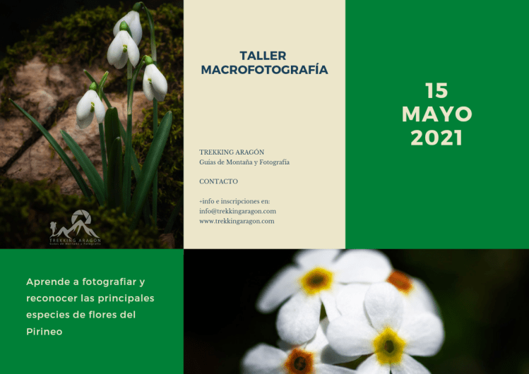 Taller Fotografía Primavera Pirineos