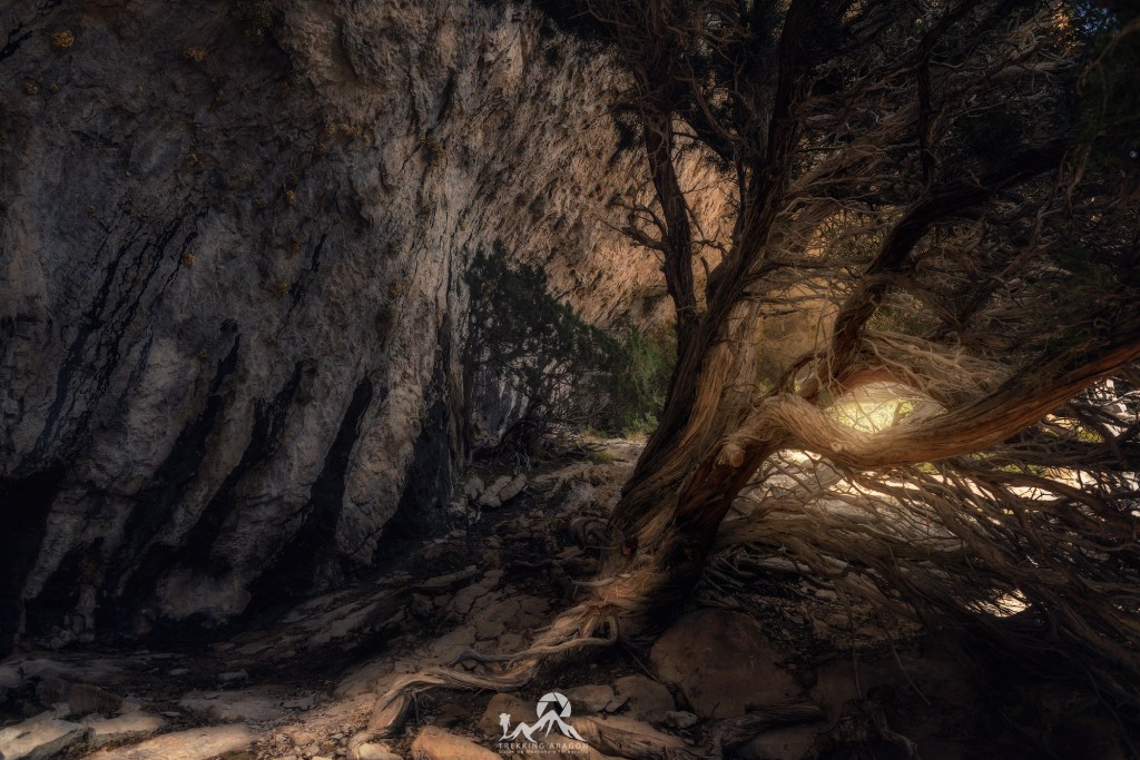 La senda de Silván, Tella