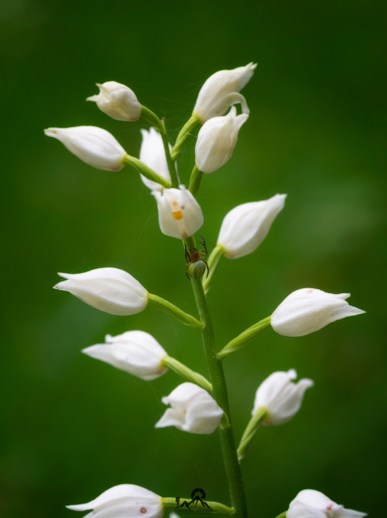 Talleres y cursos fotografía Pirineos