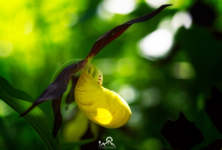 Talleres y cursos fotografía Pirineos