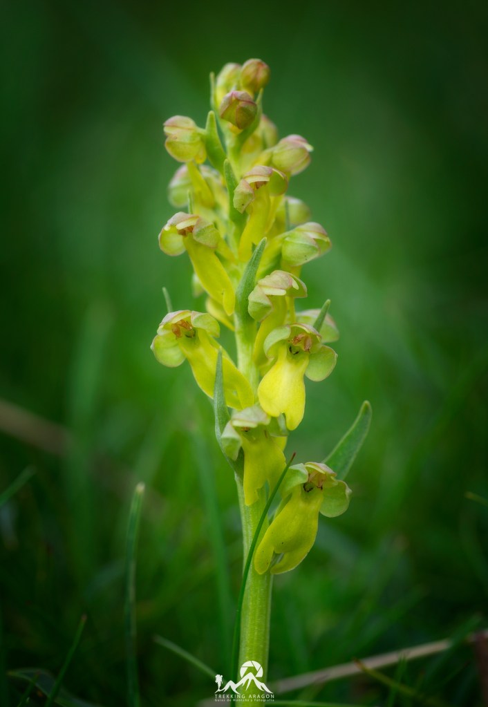 Talleres y cursos fotografía Pirineos