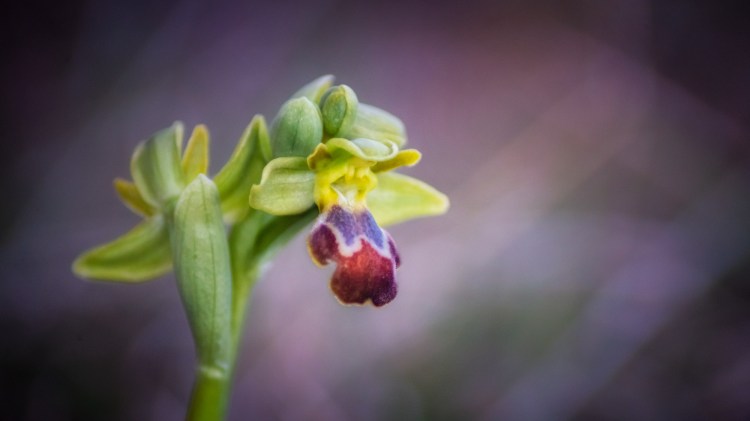 Talleres y cursos fotografía Pirineos