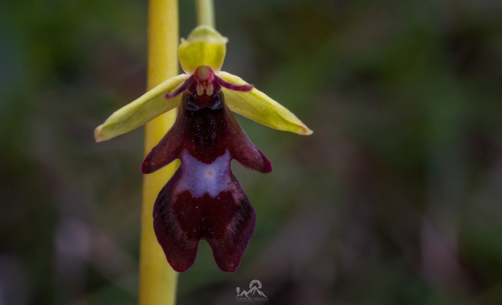 Talleres y cursos fotografía Pirineos