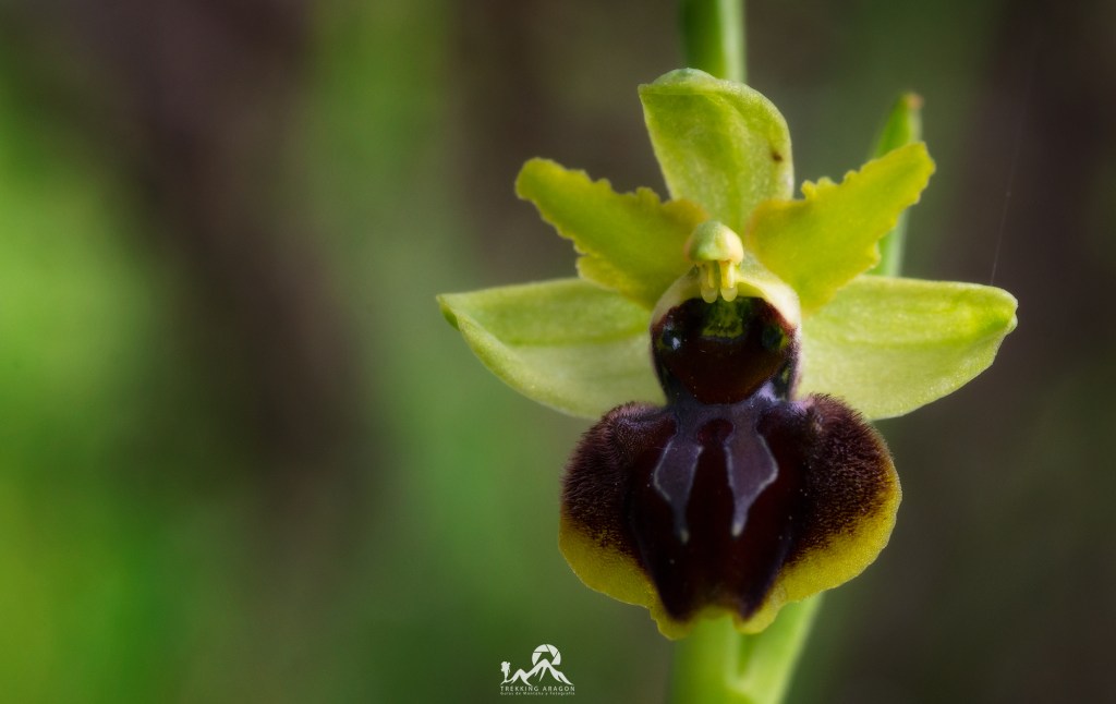 Talleres y cursos fotografía Pirineos